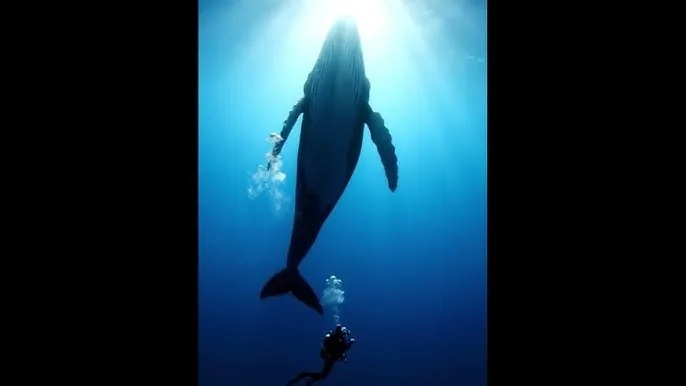 小霜的高中成长日记第二章 - 深蓝星球：探索海洋深处的未知世界